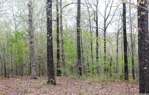 300 Glory Rd, Mountain View, AR 72560 photo 19