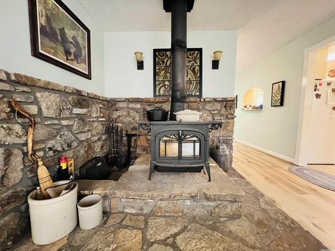 639 E Campground Rd, Ash Flat, AR 72513 photo 9