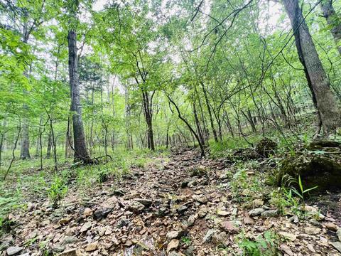 639 E Campground Rd, Ash Flat, AR 72513 photo 49