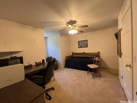 151 Settlers Ln, Mena, AR 71953 photo 27