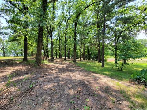 1667 Red Bridge Rd, De Queen, AR 71832 photo 7