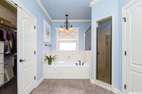 170 Shantera Pl, Ward, AR 72176 photo 10