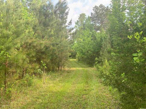 554 Bee Branch Rd, Quitman, AR 72131 photo 6