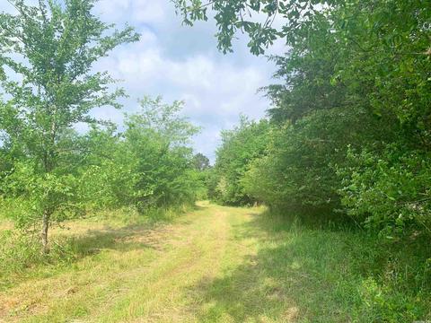 554 Bee Branch Rd, Quitman, AR 72131 photo 5