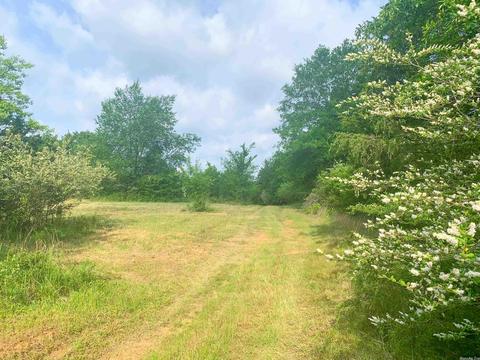 554 Bee Branch Rd, Quitman, AR 72131 photo 10