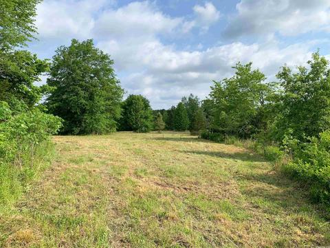 554 Bee Branch Rd, Quitman, AR 72131 photo 13