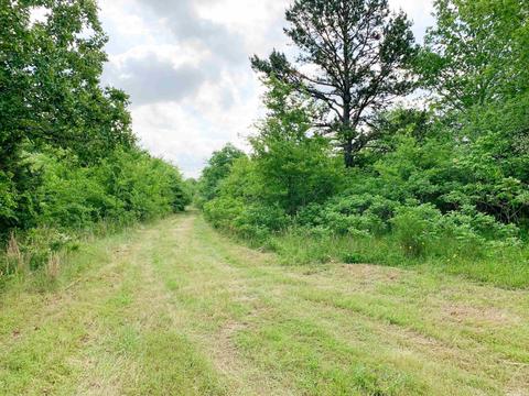 554 Bee Branch Rd, Quitman, AR 72131 photo 15