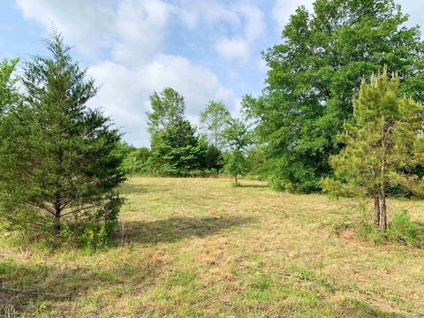 554 Bee Branch Rd, Quitman, AR 72131 photo 3