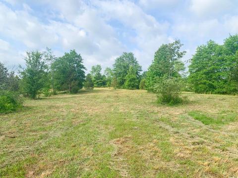 554 Bee Branch Rd, Quitman, AR 72131 photo 4