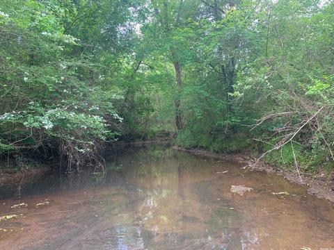 554 Bee Branch Rd, Quitman, AR 72131 photo 20
