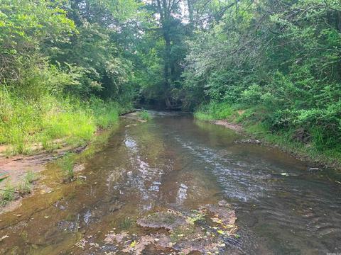 554 Bee Branch Rd, Quitman, AR 72131 photo 1