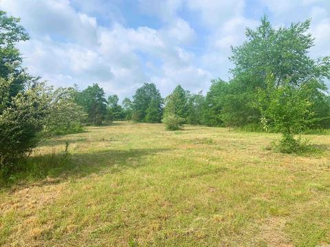 554 Bee Branch Rd, Quitman, AR 72131 photo 11