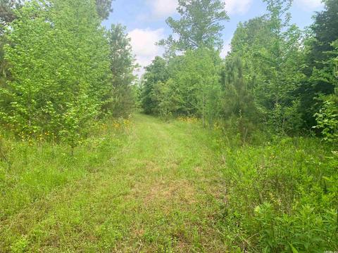 554 Bee Branch Rd, Quitman, AR 72131 photo 7