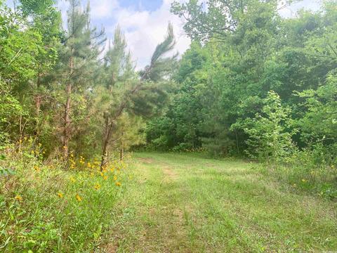 554 Bee Branch Rd, Quitman, AR 72131 photo 9