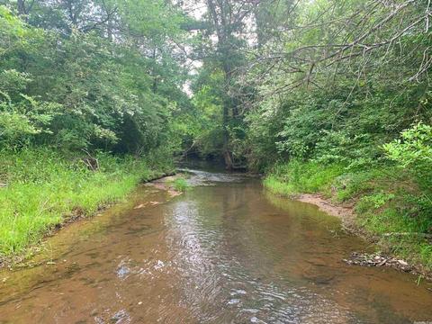 554 Bee Branch Rd, Quitman, AR 72131 photo 19