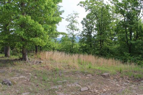 337 Yearly Dr, Marshall, AR 72650 photo 22