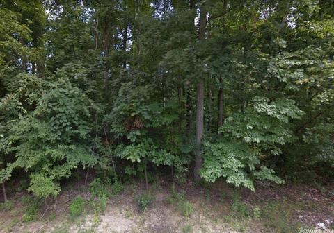 865 Mockingbird Cir, Marmaduke, AR 72443 photo 4