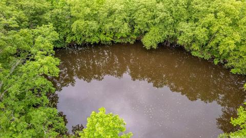 228 16th Section Rd, Mcrae, AR 72102 photo 8