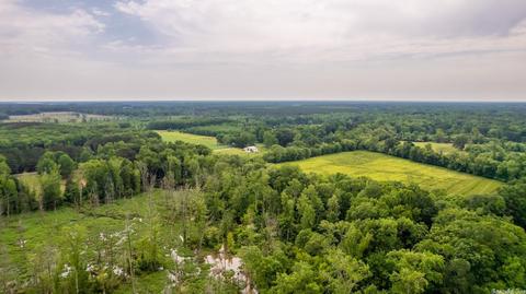 228 16th Section Rd, Mcrae, AR 72102 photo 16