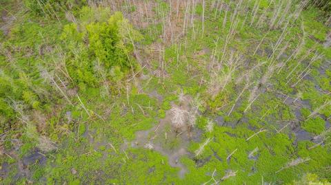 228 16th Section Rd, Mcrae, AR 72102 photo 18