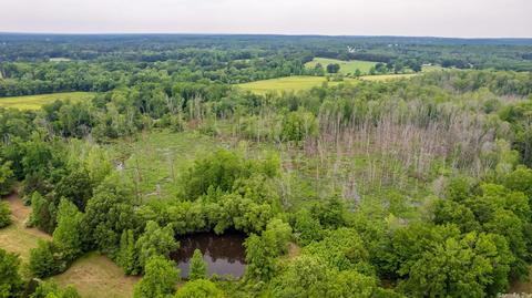 228 16th Section Rd, Mcrae, AR 72102 photo 12