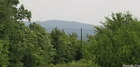 89 Peaceful Pl, Caddo Gap, AR 71935 photo 5