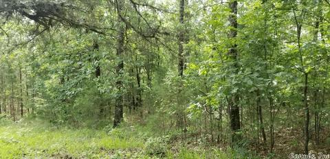 89 Peaceful Pl, Caddo Gap, AR 71935 photo 17