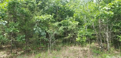 89 Peaceful Pl, Caddo Gap, AR 71935 photo 13