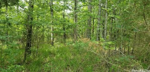 89 Peaceful Pl, Caddo Gap, AR 71935 photo 23
