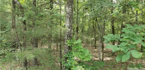89 Peaceful Pl, Caddo Gap, AR 71935 photo 20