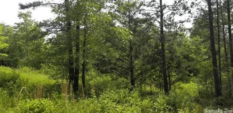 89 Peaceful Pl, Caddo Gap, AR 71935 photo 19
