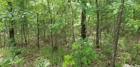 89 Peaceful Pl, Caddo Gap, AR 71935 photo 16