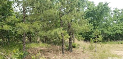 89 Peaceful Pl, Caddo Gap, AR 71935 photo 24
