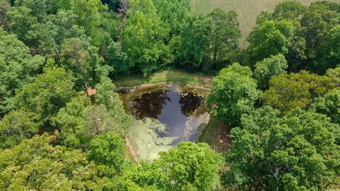 610 Highway 246 E, Vandervoort, AR 71972 photo 48