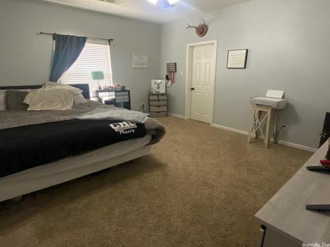 209 Jackson Park Cv, Cabot, AR 72023 photo 15