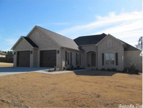 74 Sea Shell Dr, Sheridan, AR 72150 photo 1