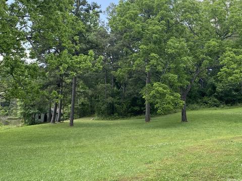 1483 Wolf Rd, Dolph, AR 72528 photo 3