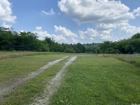 1483 Wolf Rd, Dolph, AR 72528 photo 5