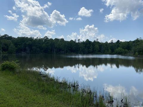 1483 Wolf Rd, Dolph, AR 72528 photo 2