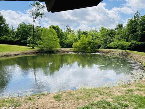 1708 Brady Mountain Rd, Royal, AR 71968 photo 4