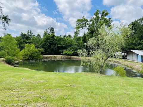 1708 Brady Mountain Rd, Royal, AR 71968 photo 2