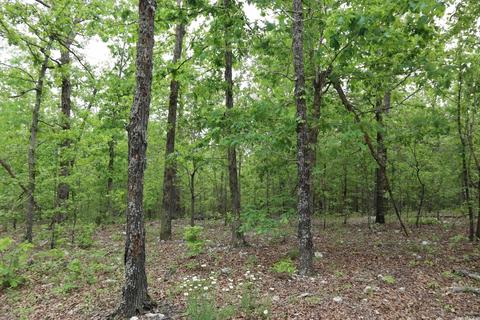 1100 River Hill Rd, Glencoe, AR 72539 photo 48