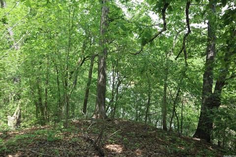 1100 River Hill Rd, Glencoe, AR 72539 photo 9