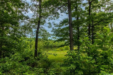 14331 Hwy 115, Maynard, AR 72444 photo 34