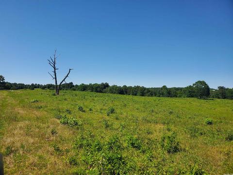 tbd Chapel Hl, De Queen, AR 71832 photo 3