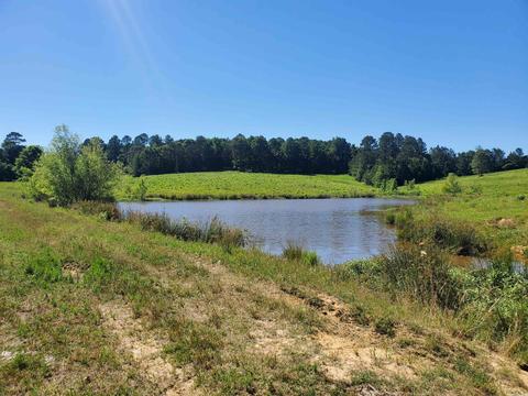 tbd Chapel Hl, De Queen, AR 71832 photo 10