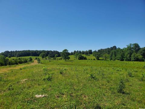 tbd Chapel Hl, De Queen, AR 71832 photo 6