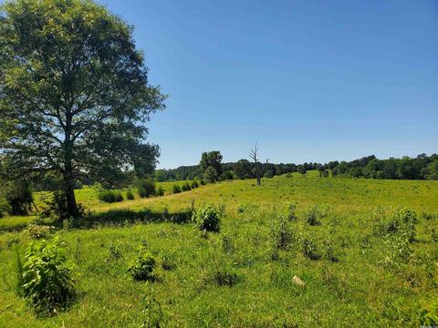 tbd Chapel Hl, De Queen, AR 71832 photo 5