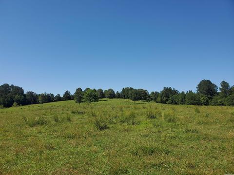 tbd Chapel Hl, De Queen, AR 71832 photo 9