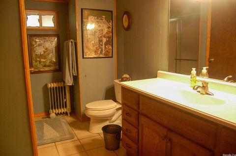 452 Sheid Rd, Norfork, AR 72658 photo 9